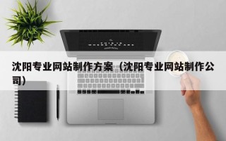 雅安沈阳专业网站制作方案（沈阳专业网站制作公司）